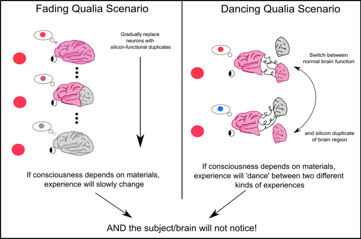 A diagram illustrates two thought experiments, "Fading Qualia Scenario" and "Dancing Qualia Scenario," concerning consciousness and brain replacement. The "Fading Qualia Scenario" depicts neurons gradually replaced by silicon duplicates, while the "Dancing Qualia Scenario" shows switching between normal and silicon brain regions, both concluding that the subject will not notice the change if consciousness depends on materials.