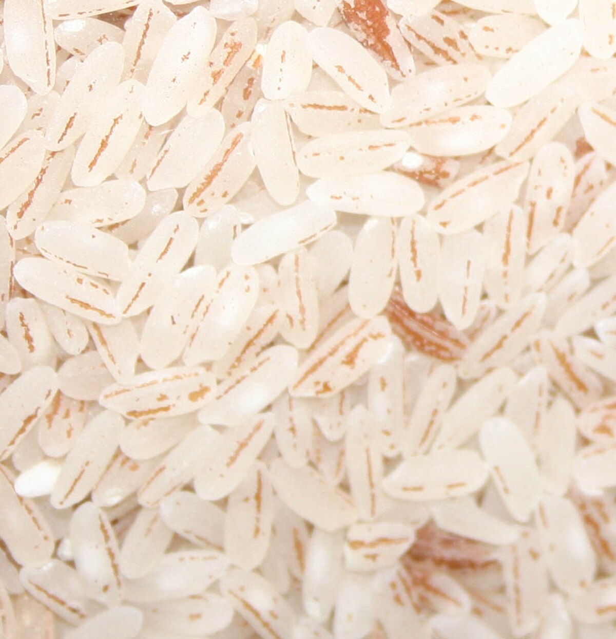 Close-up view of white African rice grains (Oryza glaberrima) after the bran and germ have been removed. The grains are pale white with some reddish-brown streaks.