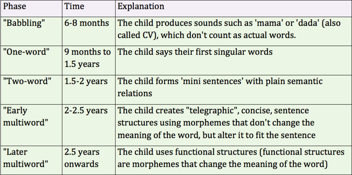A table outlines the phases of language acquisition in children, detailing the timeframes and explanations for each stage. The phases include "Babbling" (6-8 months), "One-word" (9 months to 1.5 years), "Two-word" (1.5-2 years), "Early multiword" (2-2.5 years), and "Later multiword" (2.5 years onwards).