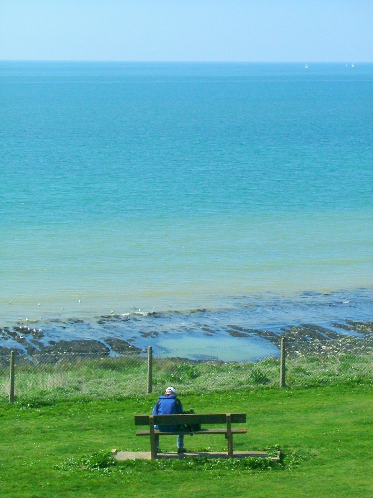 A person sits alone on a wooden bench overlooking a calm, turquoise sea under a clear sky. The shoreline features a rocky beach and a fence separating the grassy area from the water.