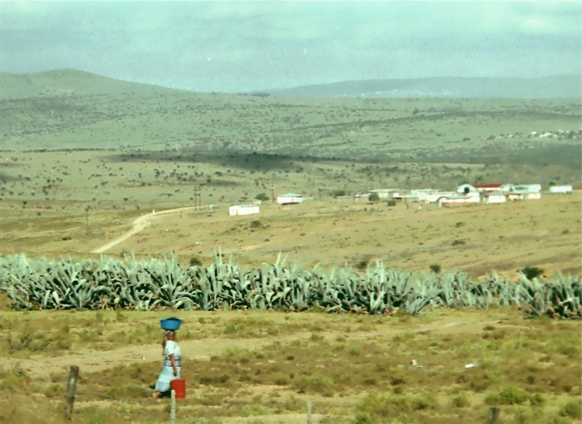 A rural landscape in Ciskei, one of the four nominally independent homelands during apartheid in South Africa, shows a woman carrying a basket on her head walking along a dirt path. The scene features sparse vegetation, rolling hills, and scattered buildings in the distance.