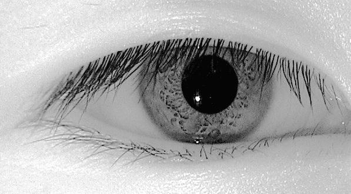Black and white close-up photograph of a human eye, focusing on the iris and pupil. The image shows the intricate patterns of the iris and the eyelashes, captured in infrared (IR) light.