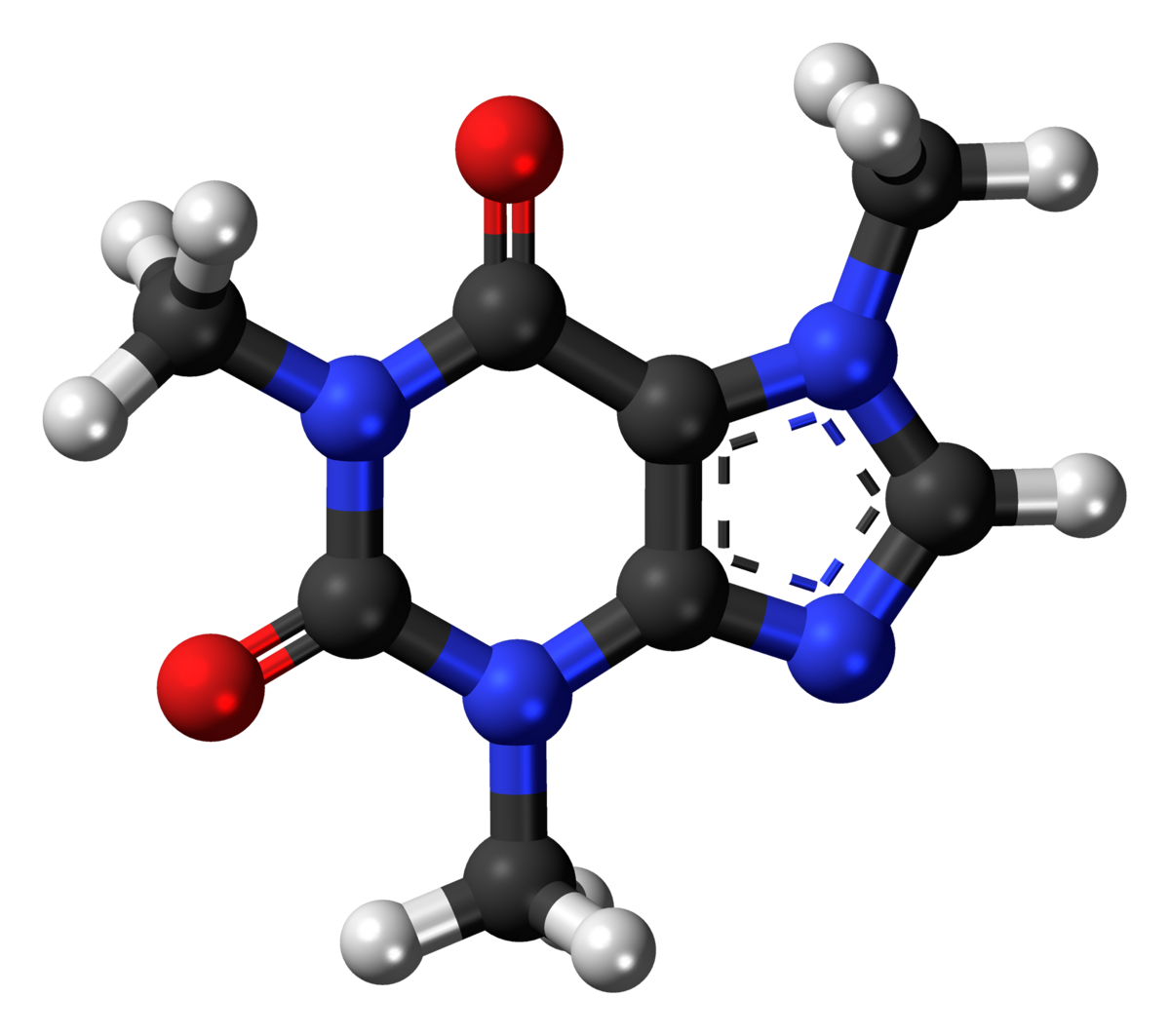 A ball-and-stick representation of the caffeine molecule (C8H10N4O2), showing carbon atoms in black, oxygen in red, nitrogen in blue, and hydrogen in white. The molecule features a fused ring system with methyl groups attached.