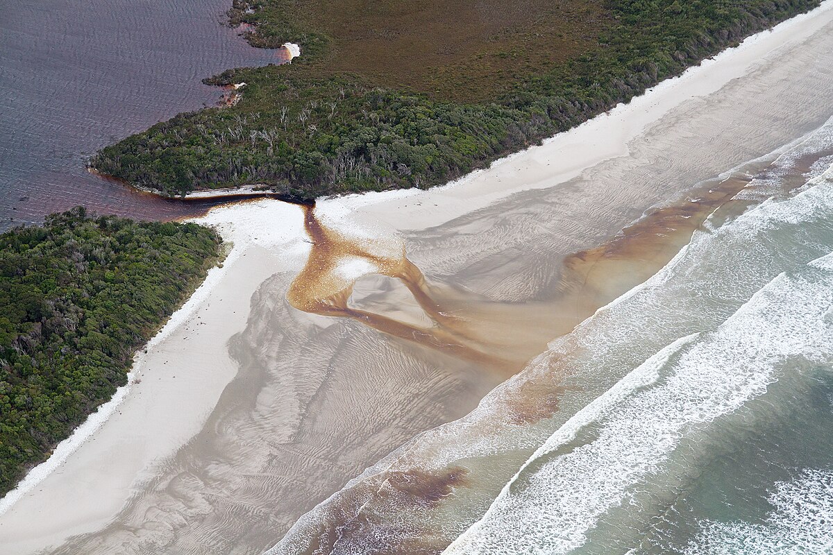 An aerial view shows tannin-rich fresh water, appearing reddish-brown, draining from Freney Lagoon into Cox Bight, creating a distinct color contrast with the ocean water and sandy beach. Dense green vegetation lines the lagoon and coastline.