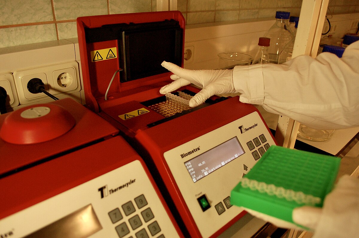 A person wearing gloves is placing a strip of eight PCR tubes into a red thermal cycler machine. The machine has a digital display and buttons, with another similar machine visible to the left.