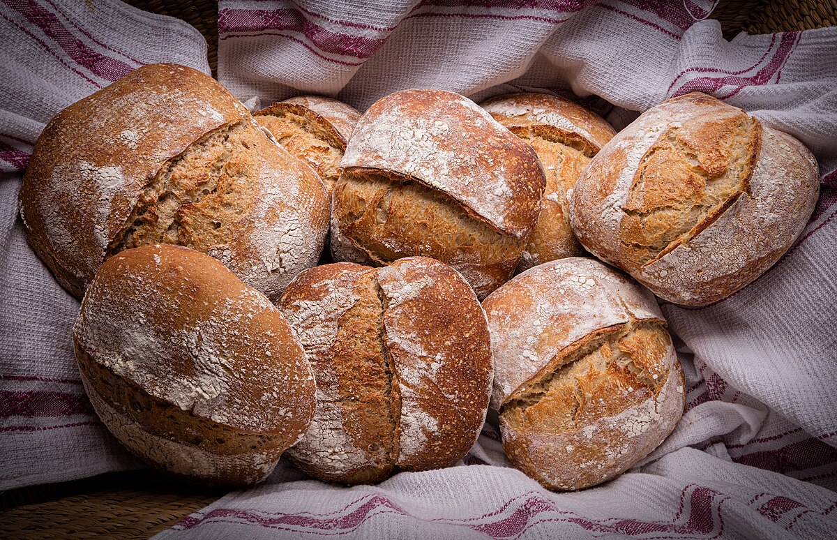 A collection of freshly baked, round sourdough bread loaves with floured tops and scored crusts, nestled in a striped white and red cloth.