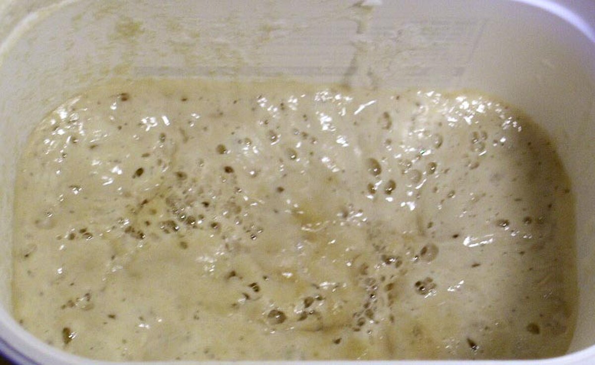 A close-up view of a sourdough starter, showing a bubbly, active mixture of flour and liquid in a white container.