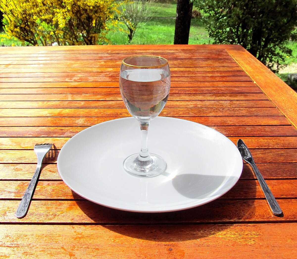 A glass of water sits on a white, empty plate, flanked by a fork on the left and a knife on the right, all placed on a wooden table outdoors. The scene suggests a meal setting, but with only water.