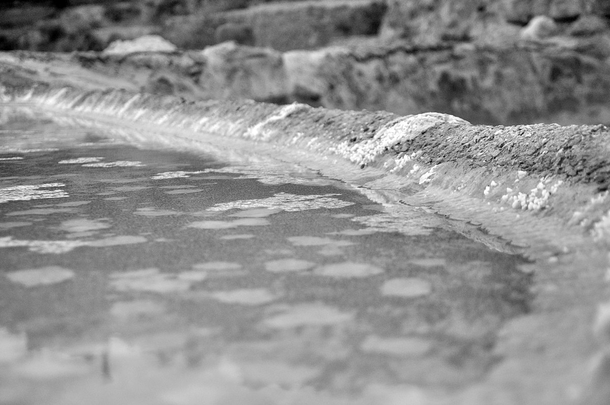 Close-up, black and white photograph showing the formation of fleur de sel in a salt pan in Feraoun, Algeria. The image captures the delicate salt crystals forming on the surface of the water, with a textured bank in the background.