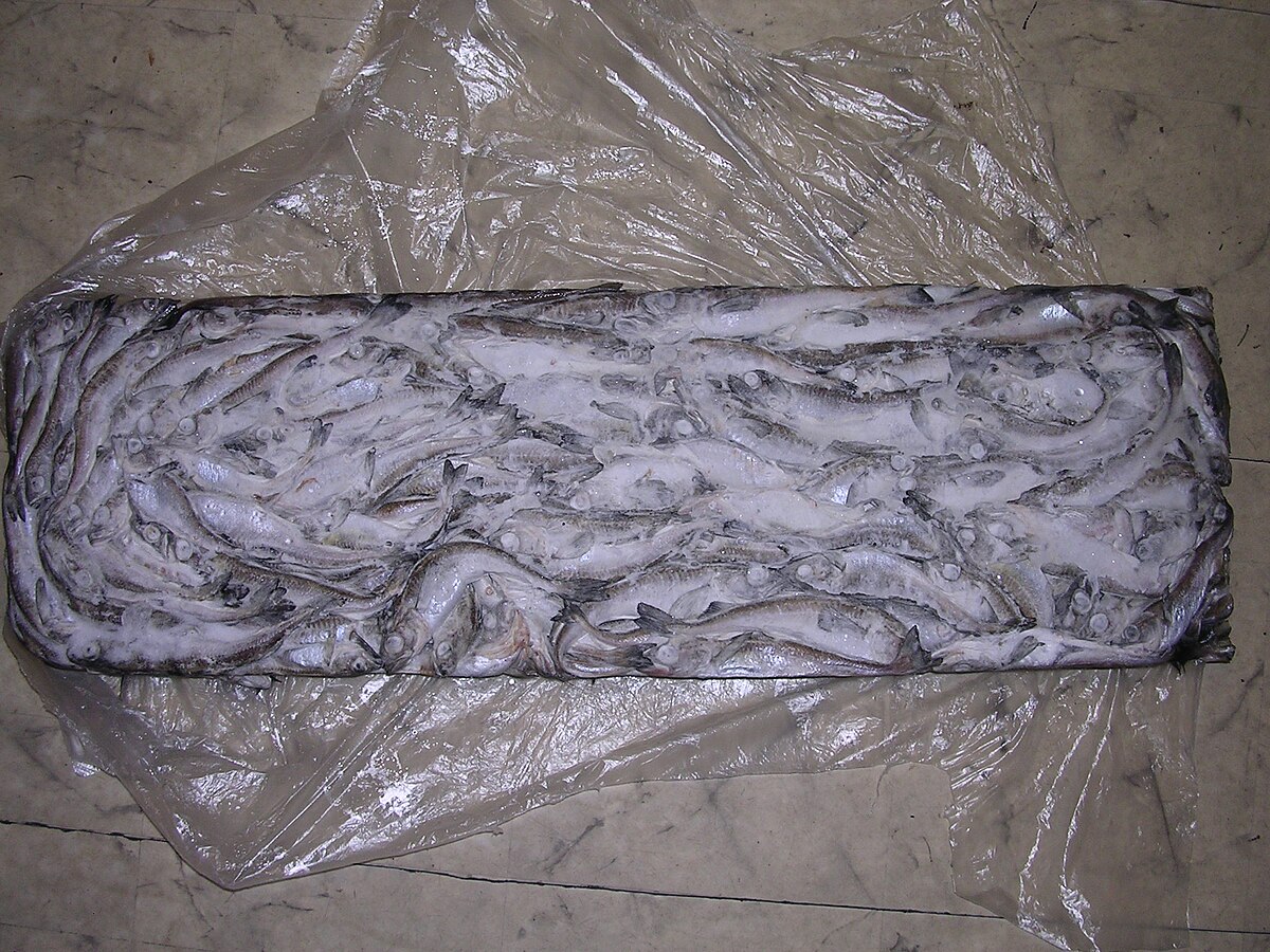 A rectangular block of frozen Arctic cod (Boreogadus saida) from a Russian vessel, typically weighing 10 or 16 kg net. The block contains numerous small, frozen fish encased in ice.