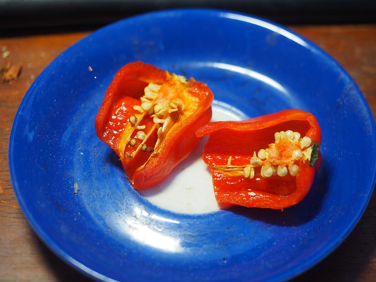 A red habanero pepper is cut in half, exposing its seeds and internal structure, resting on a blue plate. The vibrant red flesh and numerous pale seeds are clearly visible.