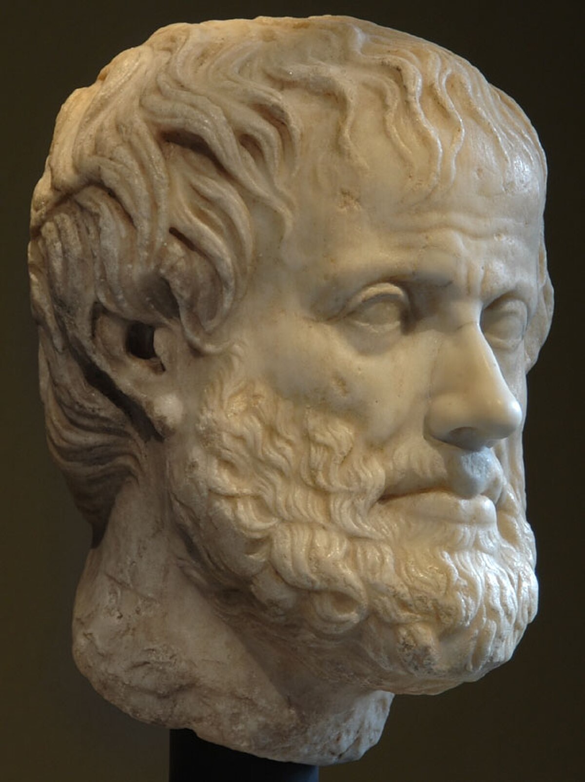 Marble bust of Aristotle, a Roman copy from the mid-1st century AD of a Greek original from approximately 320 BC. The bust depicts a man with a beard and curly hair, looking slightly to his right.