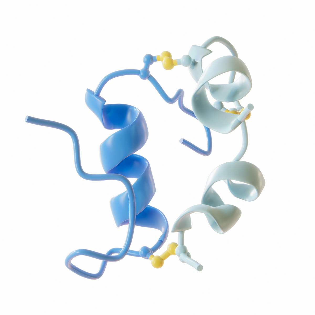 Ribbon diagram of the insulin protein structure, showing two polypeptide chains in light blue and dark blue. The chains are connected by yellow disulfide bridges, with the dark blue chain forming a prominent alpha-helix.