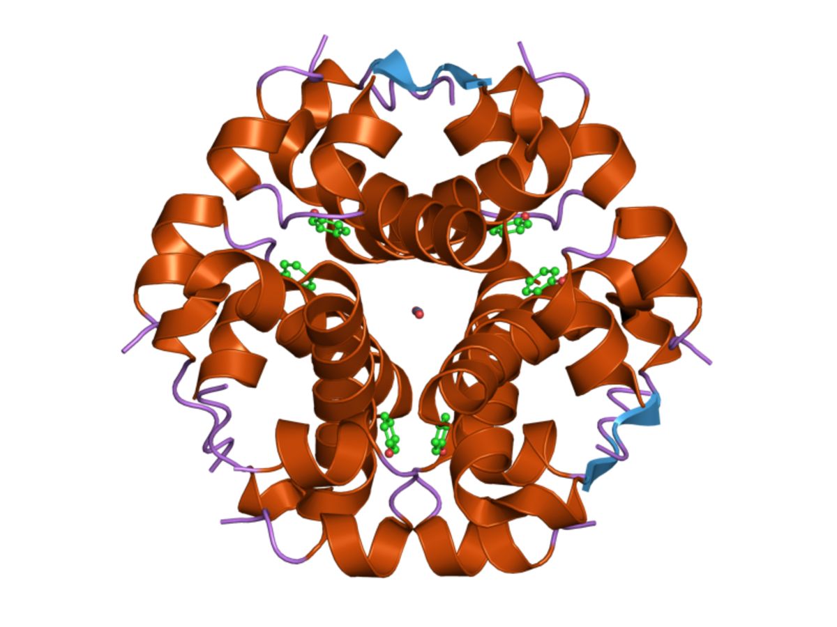 Cartoon representation of the molecular structure of insulin, identified as PDB 1w8p, showing a hexameric arrangement. The protein structure features alpha-helices (orange coils), beta-sheets (light blue arrows), and loops (purple strands), with multiple green and red stick models representing ligands and a single red sphere representing a metal ion.