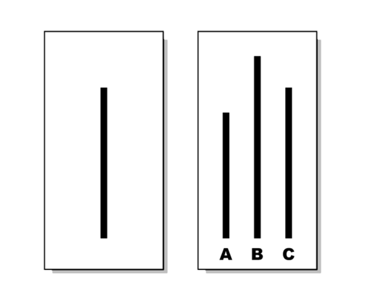 Diagram illustrating the Asch conformity experiment, showing a single vertical line on the left and three comparison lines labeled A, B, and C on the right. The task is to identify which of the lines A, B, or C matches the length of the single line on the left.