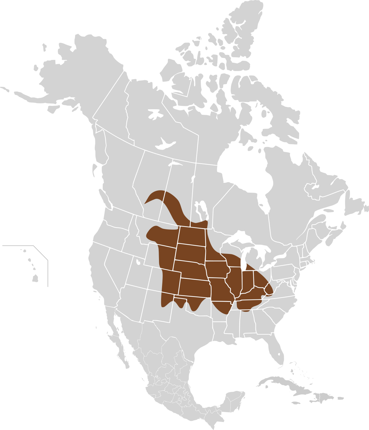 Map of North America highlighting the geographic distribution of the prairie vole (Microtus ochrogaster) in brown. The range covers parts of the central and eastern United States, extending into southern Canada.
