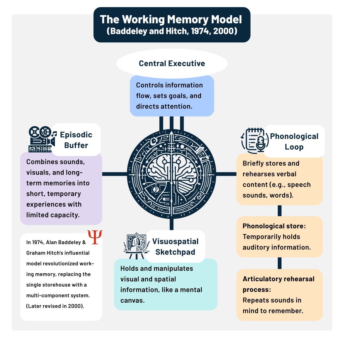 Diagram of The Working Memory Model by Baddeley and Hitch (1974, updated 2000), illustrating its main components: the Central Executive, Episodic Buffer, Phonological Loop, and Visuospatial Sketchpad. Each component is described with its function, such as the Central Executive controlling information flow and the Phonological Loop storing and rehearsing verbal content.