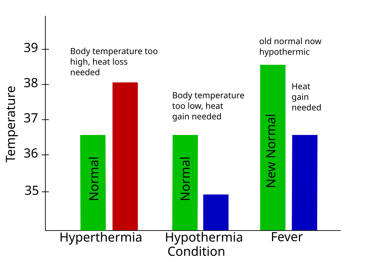 Bar graph comparing Hyperthermia, Hypothermia, and Fever conditions based on body temperature in degrees Celsius (Y-axis). Hyperthermia shows normal temperature (green bar) and a higher body temperature (red bar) with the text "Body temperature too high, heat loss needed". Hypothermia shows normal temperature (green bar) and a lower body temperature (blue bar) with the text "Body temperature too low, heat gain needed". Fever shows a "New Normal" thermoregulatory set point (green bar) and the original normal body temperature (blue bar) labeled "old normal now hypothermic" with the text "Heat gain needed".