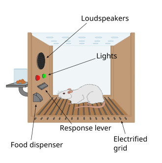 Diagram of a Skinner box operant conditioning chamber with a white rat on an electrified grid floor. Labeled components include loudspeakers, lights, response lever, food dispenser, and electrified grid.