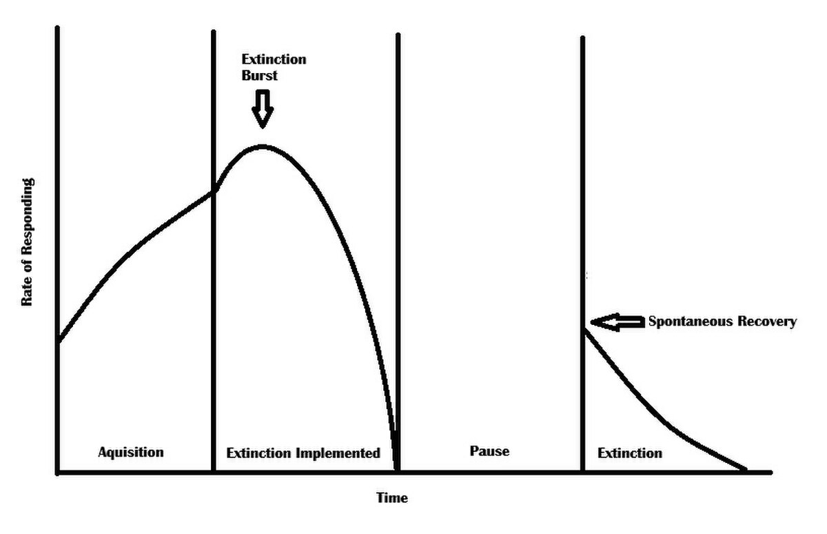 Graph illustrating an extinction curve in psychology, plotting "Rate of Responding" on the Y-axis against "Time" on the X-axis. The curve shows phases of "Acquisition," an "Extinction Burst," "Extinction Implemented," a "Pause," and "Extinction" with a "Spontaneous Recovery" event.