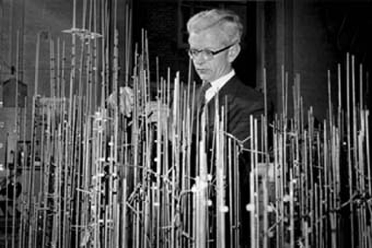John Kendrew is shown with a large, intricate stick-and-ball model of myoglobin, which he is actively working on.
